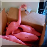 Z12. Pink flamingos. 